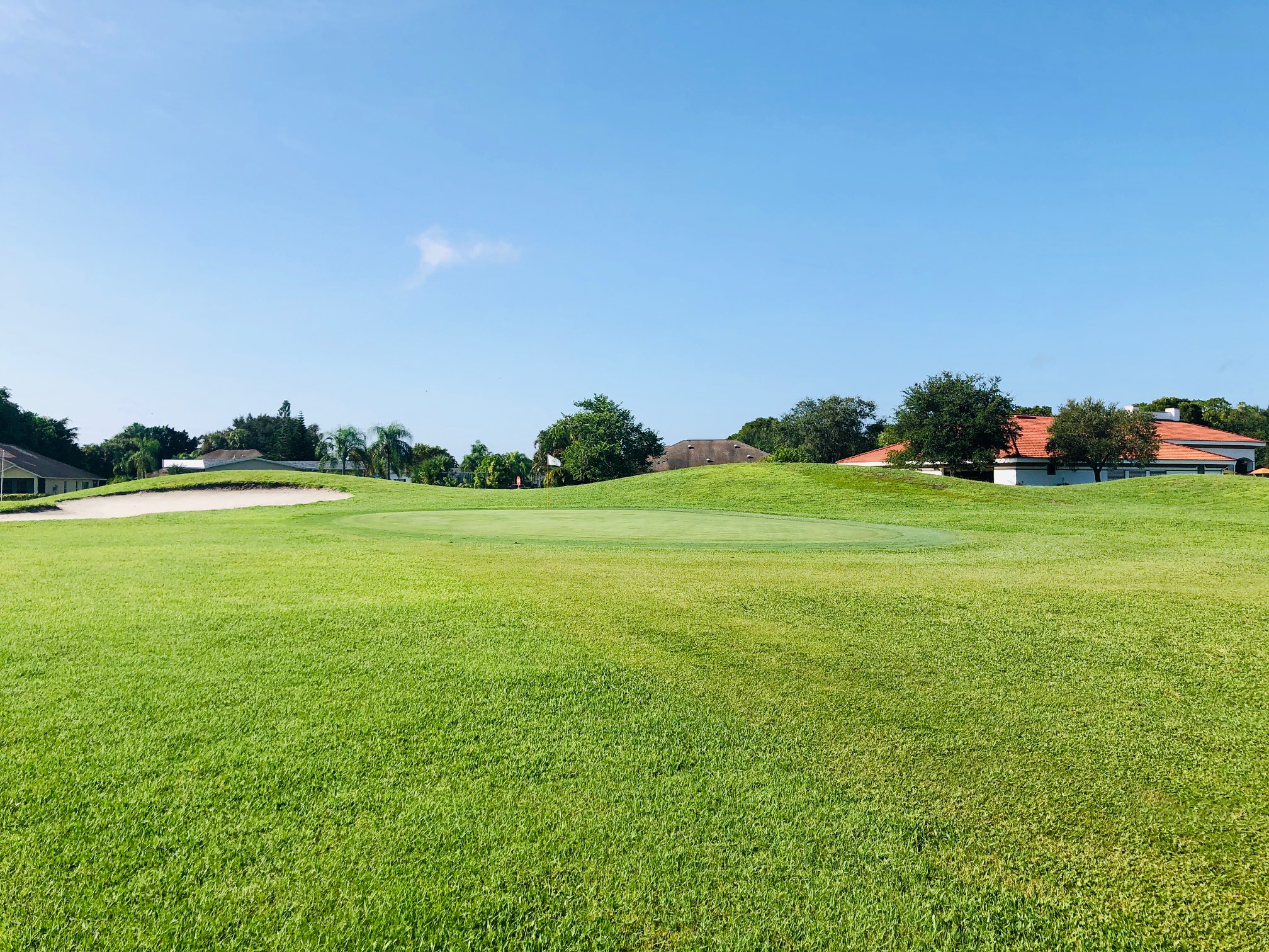 Golf course green