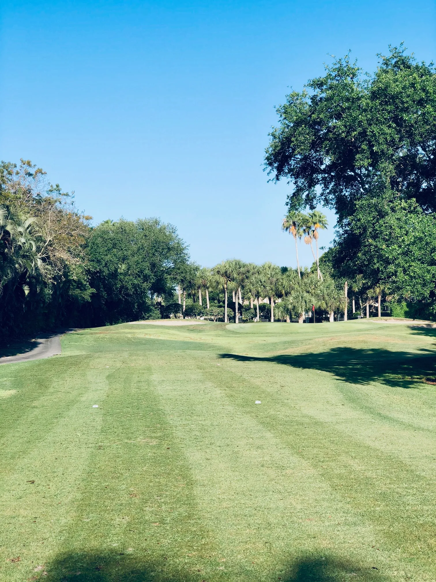 view of golf course with manicured greens