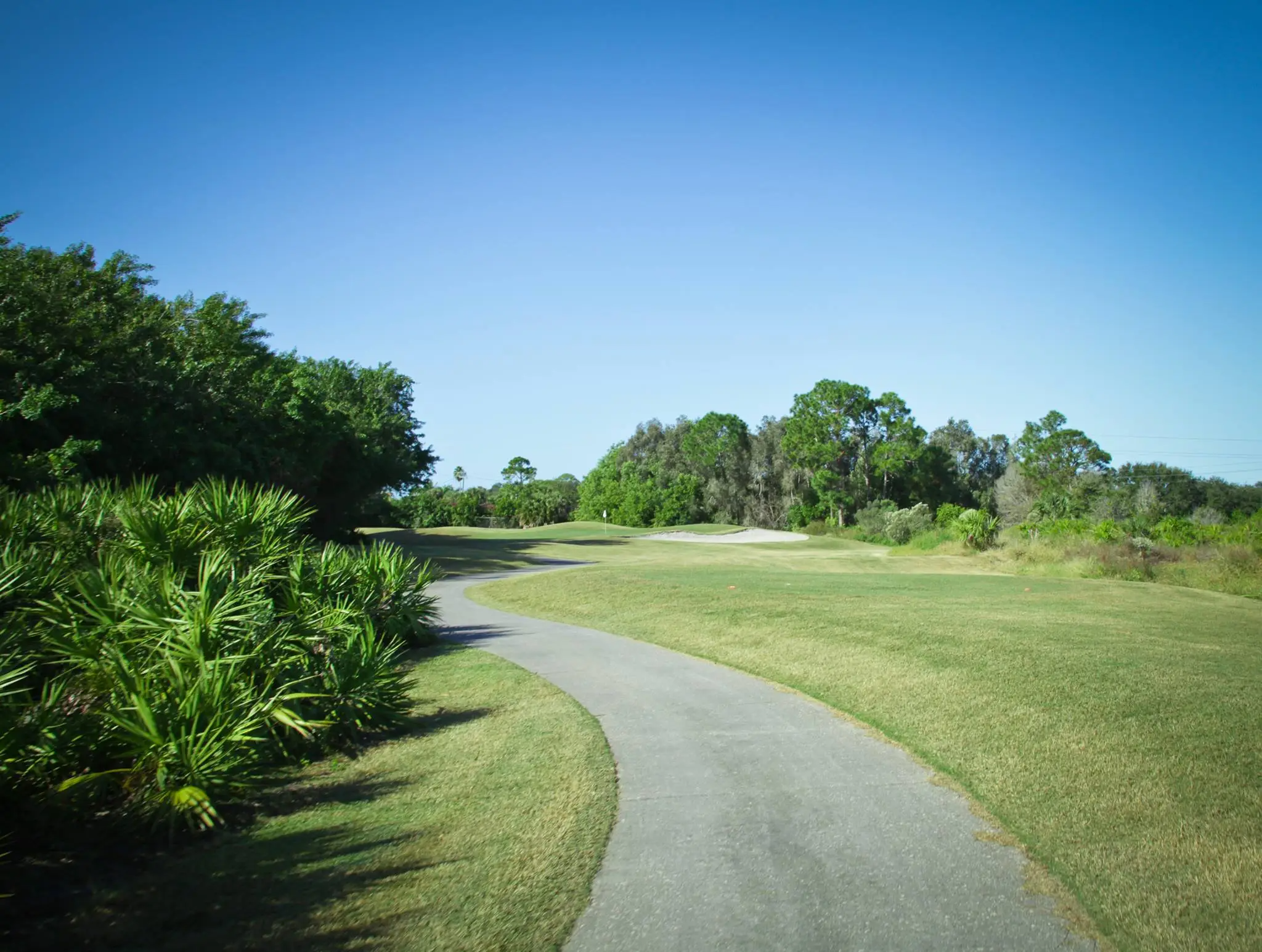 view of golf course path
